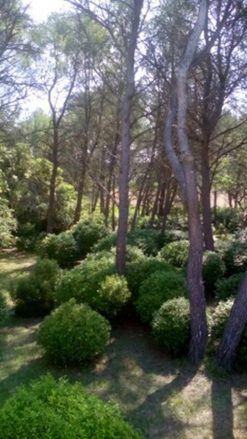 Le Clos Zinou Lambesc