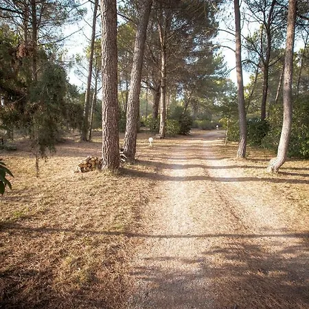 Le Clos Zinou Lambesc Exterior foto